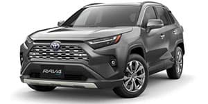 Rav4 Híbrida