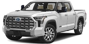 Tundra Platinum
