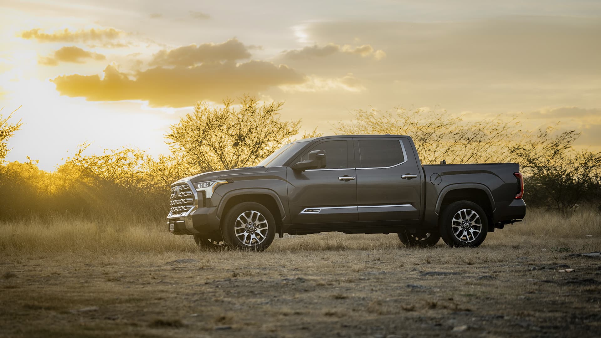 Tundra Platinum