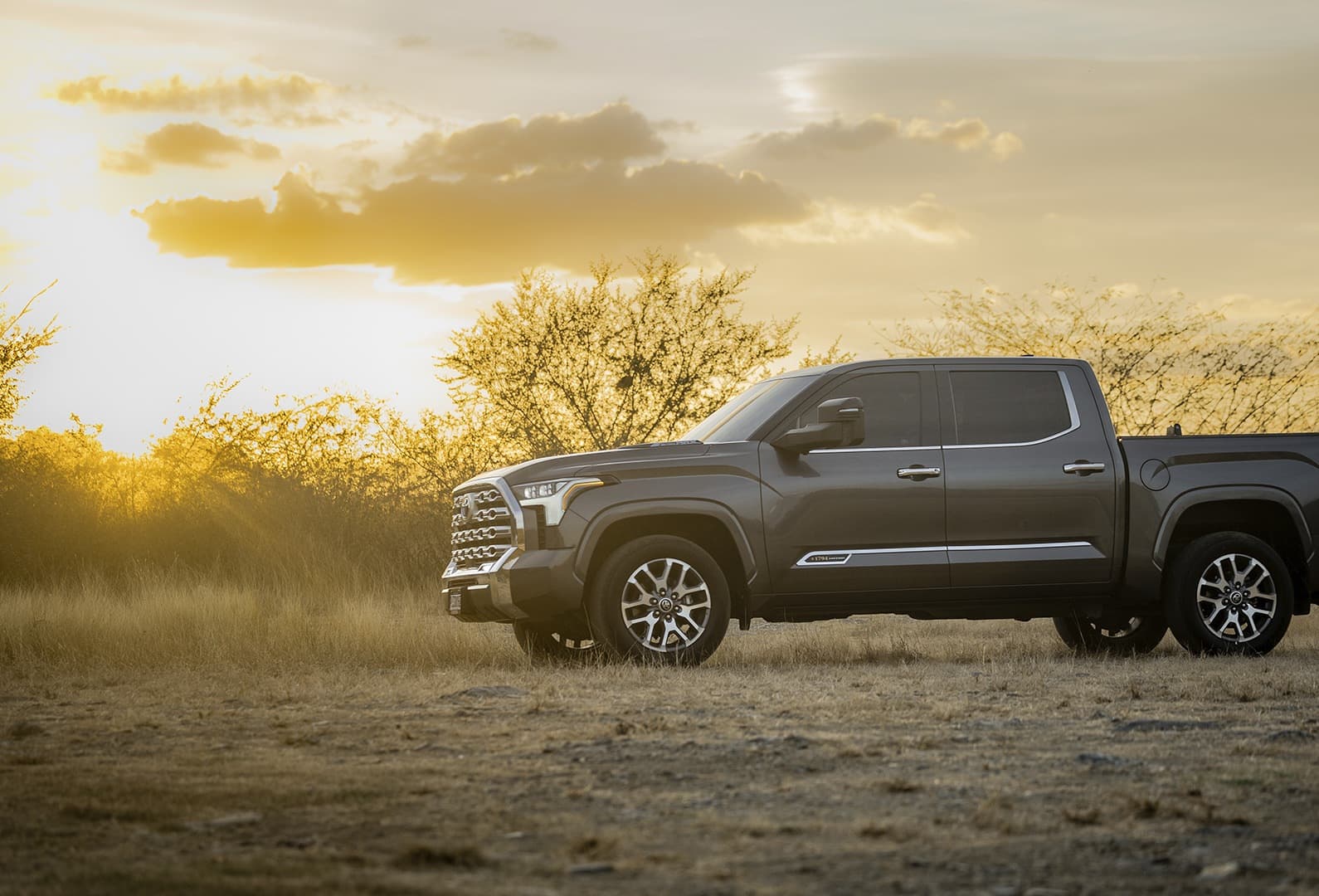 Tundra Platinum